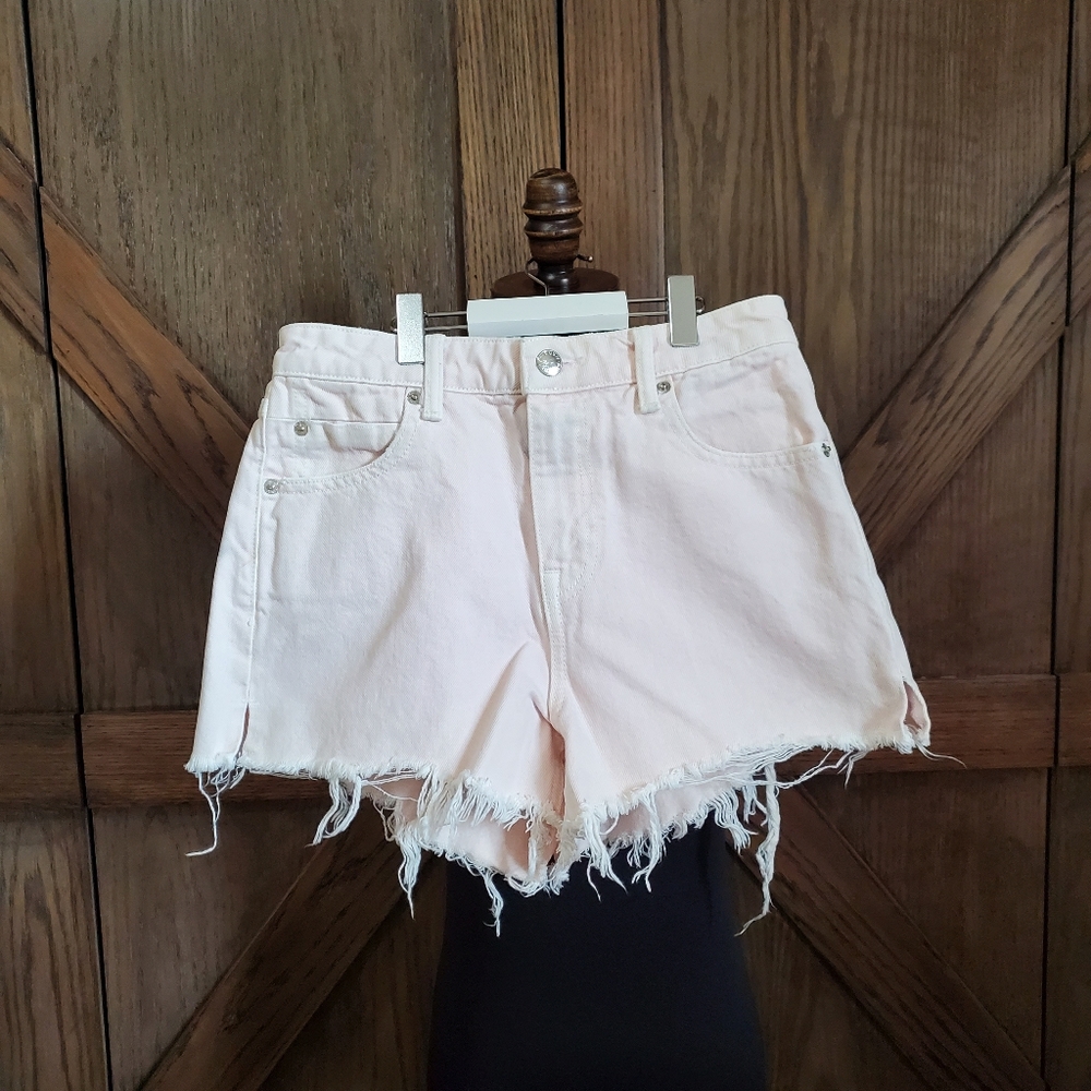 LAST CHANCE Alexander Wang Bite High Rise Shorts
